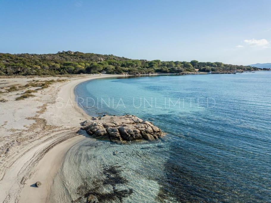 Villa Domus Ardea Capo Coda Cavallo Exteriér fotografie